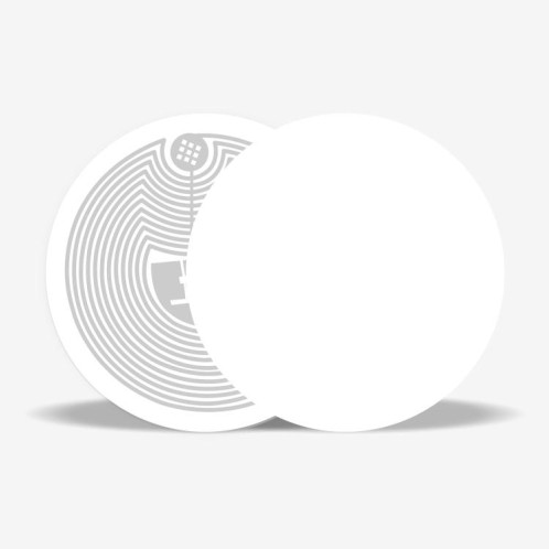 Étiquettes NFC autocollantes avec puce Fudan F08, étiquettes RFID HF, taille : 30 x 15 mm, papier couché SR52021576-06
